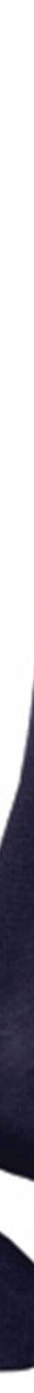Mi-chaussettes fil d'Ecosse effet massant - lot de 2 paires (marine) Mi-chaussettes fil d'Ecosse effet massant - lot de 2 paires (marine)